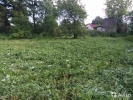 Продажа, Участок земли, Абрамцево с. по цене 1 300 000 руб - фото 1 - фото 2