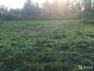 Продажа, Участок земли, Абрамцево с. по цене 1 300 000 руб - фото 1