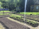 Продажа, Дача, Дубки по цене 450 000 руб - фото 1 - фото 2 - фото 3