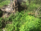 Продажа, Дом, Языково, д.21 по цене 453 000 руб - фото 1 - фото 2 - фото 2