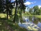 Продажа, Участок земли, Хлыбы по цене 450 000 руб - фото 1 - фото 2 - фото 3 - фото 4
