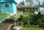 Продажа, Дача, Дмитров, ул.СНТ " Горняк" по цене 1 100 000 руб - фото 1 - фото 2 - фото 3 - фото 4 - фото 5 - фото 6