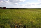 Продажа, Участок земли, Краснозаводск, ул.западная, д.79 по цене 850 000 руб - фото 1 - фото 2 - фото 3 - фото 4 - фото 5 - фото 6