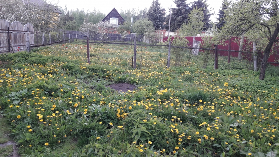Продажа, Участок земли, Гаврилково, д.3 по цене 18 500 000 руб - АэНБИ Продажа, Участок земли, Гаврилково, д.3 по цене 18 500 000 руб - АэНБИ
