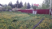 Продажа, Участок земли, Гаврилково, д.3 по цене 18 500 000 руб - фото 1 - фото 2 - фото 9 - фото 11 - фото 12 - фото 13