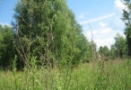 Продажа, Участок земли, Иванцево по цене 1 890 000 руб - фото 1 - фото 2