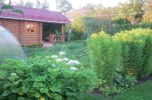 Продажа, Дача, Дмитров, ул.дача в Дмитрове по цене 3 425 000 руб - фото 1 - фото 2 - фото 3 - фото 4