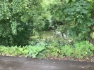 Продажа, Дом, Дмитров, ул.1-я Левонабережная по цене 1 800 000 руб - фото 1 - фото 2 - фото 3
