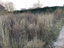 Продажа, Участок земли, Шолохово по цене 1 500 000 руб - фото 1 - фото 2 - фото 3 - фото 4