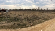 Продажа, Участок земли, Борисово, ул.Дружбы по цене 900 000 руб - фото 1 - фото 2 - фото 3