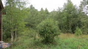 Продажа, Дом, Решетниково, ул.Тихая, д.32/33 по цене 1 700 000 руб - фото 1 - фото 2 - фото 3 - фото 4 - фото 5 - фото 6