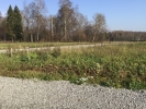 Продажа, Участок земли, Благовещенское, ул.КП «Дмитровские дачи» по цене 650 000 руб - фото 1 - фото 2 - фото 3
