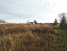 Продажа, Участок земли, Белавино, д.4а по цене 850 000 руб - фото 1 - фото 2