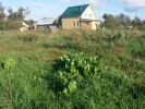 Продажа, Участок земли, Спас-Заулок, ул.спасская, д.147 по цене 600 000 руб - фото 1