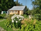 Продажа, Дача, Елино, ул.Снт Оформитель, д.22 по цене 1 850 000 руб - фото 1 - фото 2 - фото 4