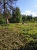 Продажа, Участок земли, Борисово, ул.снт Сигнал, д.165 по цене 700 000 руб - фото 1 - фото 2 - фото 3