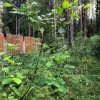 Продажа, Участок земли, Головково, д.191 по цене 1 200 000 руб - фото 1 - фото 2