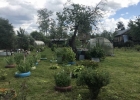 Продажа, Дача, Клин, ул.Снт Мичуринец по цене 1 300 000 руб - фото 1 - фото 2
