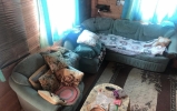 Продажа, Дача, Бельское, ул.снт "Компьютер" по цене 950 000 руб - фото 1 - фото 2 - фото 3 - фото 4 - фото 5 - фото 6 - фото 7 - фото 8 - фото 9