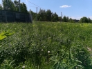 Продажа, Участок земли, Елгозино, ул.1-ая Владимировка, д.45 по цене 420 000 руб - фото 1 - фото 2 - фото 3 - фото 4
