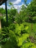 Продажа, Дом, Дмитровский район, ул.снт "Сихнево", д. Сихнево по цене 2 500 000 руб - фото 1 - фото 2 - фото 3 - фото 4