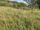 Продажа, Участок земли, Бирево, ул.СНТ Рассвет, д.78 по цене 280 000 руб - фото 1 - фото 2 - фото 3 - фото 4 - фото 5 - фото 6