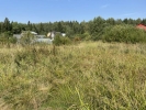 Продажа, Участок земли, Бирево, ул.СНТ Рассвет, д.78 по цене 280 000 руб - фото 1 - фото 2 - фото 3 - фото 4 - фото 5 - фото 6 - фото 7 - фото 8