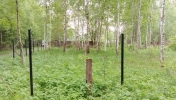 Продажа, Участок земли, Опалево, ул.СНТ Колос по цене 499 000 руб - фото 1 - фото 2 - фото 3