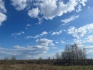 Продажа, Участок земли, Губино по цене 599 000 руб - фото 1 - фото 5 - фото 6 - фото 7 - фото 9 - фото 10 - фото 11 - фото 12 - фото 13