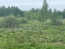 Продажа, Участок земли, Зубово, ул.СНТ "ЛуЧ", д.107 по цене 150 000 руб - фото 1 - фото 2 - фото 3