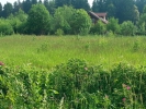 Продажа, Участок земли, Талаево по цене 2 100 000 руб - фото 1 - фото 2 - фото 3 - фото 4