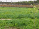 Продажа, Участок земли, Баранцево, д.35 по цене 3 900 000 руб - фото 1 - фото 2