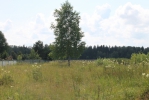 Продажа, Дом, Никольское, д.24а по цене 2 150 000 руб - фото 1 - фото 2 - фото 3 - фото 4 - фото 5 - фото 6