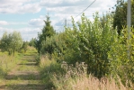Продажа, Участок земли, Медведково по цене 600 000 руб - фото 1 - фото 2