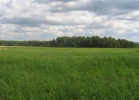 Продажа, Участок земли, Терехово, д.19/1 по цене 1 500 000 руб - фото 1