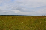 Продажа, Участок земли, Поповка, д.28 по цене 3 500 000 руб - фото 1 - фото 2 - фото 3 - фото 4 - фото 5