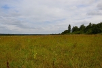 Продажа, Участок земли, Поповка, д.28 по цене 3 500 000 руб - фото 1