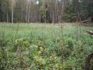 Продажа, Дом, Выголь, ул.Терешковой, д.7 по цене 1 950 000 руб - фото 1 - фото 2 - фото 3 - фото 4 - фото 5 - фото 6 - фото 7 - фото 8 - фото 9